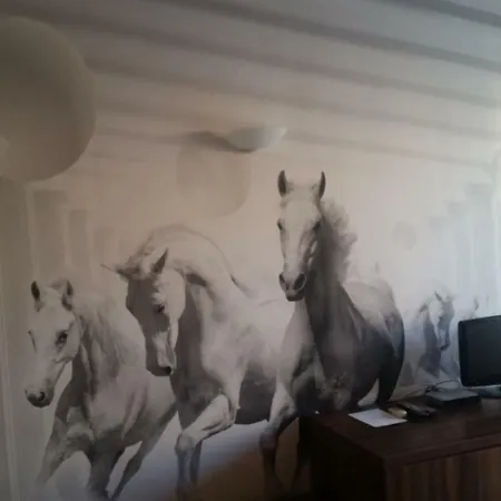 Hotel Paradise Bay 3*