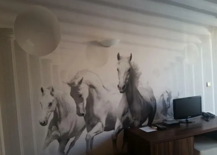 Hotel Paradise Bay 3*